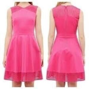 NWT $279 TED BAKER Sz 2 Pink Skater Dress
